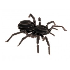 3D model pavúk FRIDOLIN